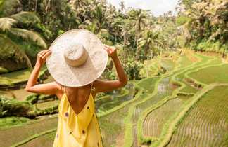 Décors incontournable : les rizières en escalier de Bali
