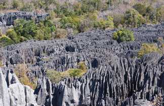 Désert de pierres dans les tsingys à Madagascar