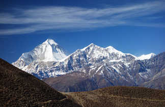 Dhaula au Népal