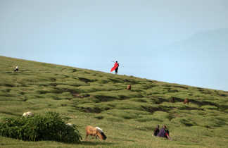 Drapée masai flottant dans les terres du rift