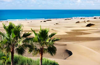Dunes de sables à Gran canaria