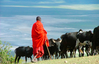 Eleveur masai et son troupeau dominant la plaine du Serengeti en Tanzanie