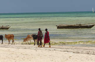 Éleveurs masai sur la plage de Zanzibar