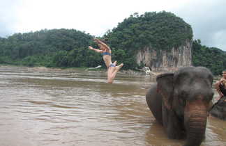 Enfant sautant dans l'eau depuis le dos d'un éléphant au Laos