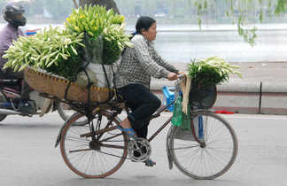 Femme faisant du vélo dans les rues d’Hanoï au Vietnam
