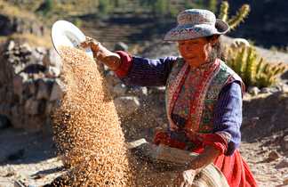 femme péruvienne qui travaille au Pérou