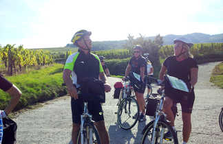 Groupe à vélos s'arrêtent dans les vignes en alsace