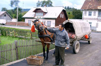 homme avec un cheval en Roumanie