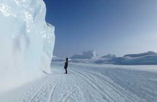 Iceberg pris dans la banquise au Groenland