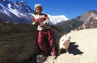 jeune fille et sa chèvre au Annapurna au Népal