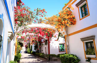 Jolie rue fleurie dans Gran Canaria