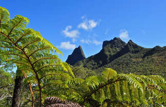 La Nouvelle,  Hellbourg, la Réunion