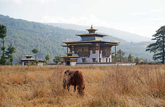 La vallée de Bhumthang