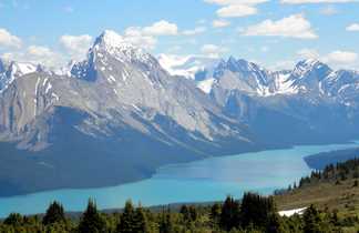 Lac Peyto sur la route des glaciers, Canada