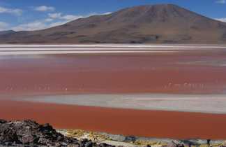 Laguna Colorada, Sud Lipez, Bolivie