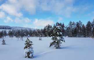 Laponie en hiver