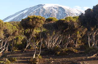 L'ascension du Mont Kilimandjaro