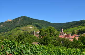 Le très beau village de Ribeauvillé, Alsace