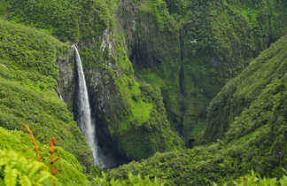 La cascade Le Trou de Fer dans l'île de la Réunion