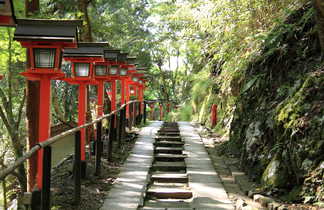 Les marches de du temple de Kurama