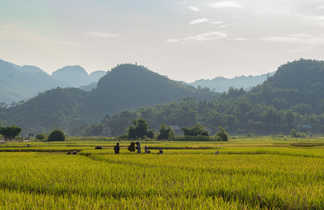 Les paysages de la région de Mai Chau au Vietnam