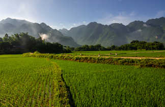 Les rizières de Mai Chau entouré des pitons karstiques au Vietnam