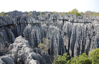 Les Tsingys de Madagascar