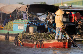 marchands d'ananas sur le Delta du Mekong au Vietnam