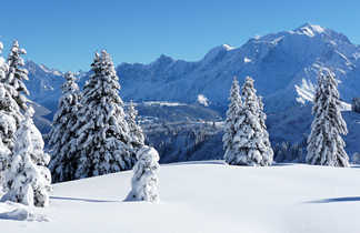 Paysages enneigée du massif du Mont Blanc, Chamonix