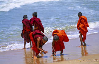 Moines-bouddhistes-sur-une-plage-Sri-Lanka