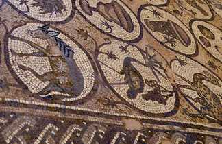 Mosaïques dans l'église bysantine à Petra, Jordanie