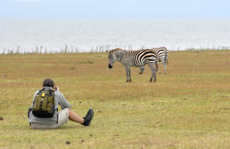 observation d'un zebre par un photographes dans la savane en tanzanie