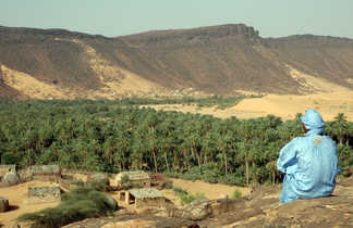 Palmeraie de Toungad, Mauritanie