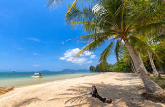 Palmiers et plage de sable blanc à Phu Quoc au Vietnam