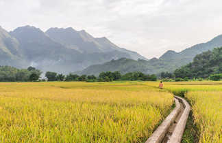 Paysage de la vallée de Mai Chau au Vietnam