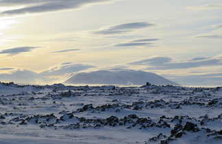 Paysage islandais en hiver