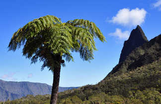 Paysage randonnée de La Nouvelle à Hellbourg, la Réunion