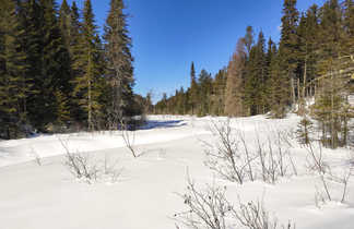 Paysage sous la neige au Québec