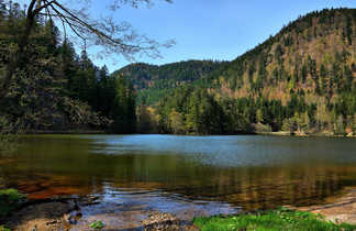 Paysage typique des Vosges, lac et forêt