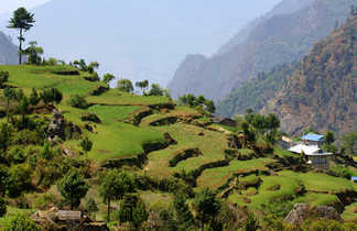 Paysages de la vallée de la Dudh Khosi, dans le Khumbu
