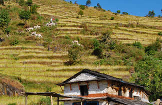 Paysages des Annapurnas