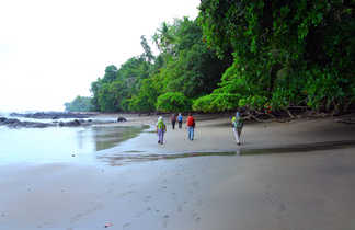 Petit groupe de randonneurs en bord de mer au Costa Rica