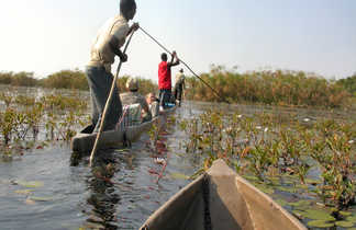 Pirogue sur le fleuve , Botswana