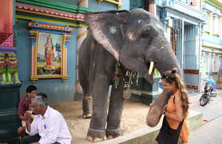 pondichery temple manakula vinayar koil ganesh en Inde