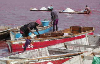 Ramasseurs de sel au lac Rose au Sénégal