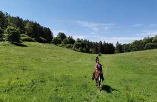 Randonnée à cheval découverte dans les forêts de Toscane