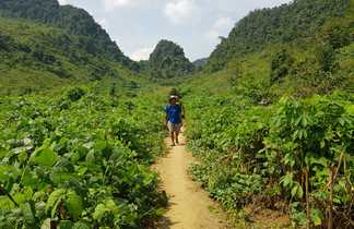 Randonnée dans la région de Thong Nong