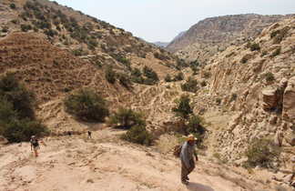 Randonnée dans la réserve de Dana en Jordanie