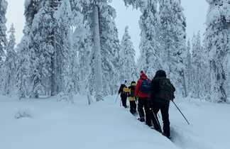 Randonnée raquettes à neige en Finlande l'hiver