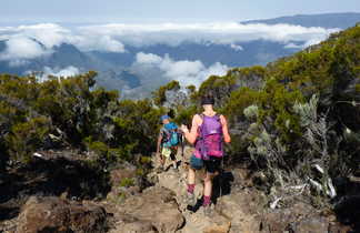 Randonneurs dans la descente vers la Plaine des Cafres, la Réunion